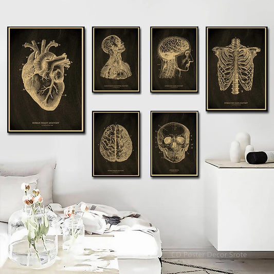 Heart/Skull/Brain Kraft Paper Poster Chalkboard – Anatomical Skeleton Vintage Medical Art Wall Painting