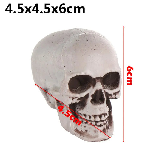 Plastic Skull Head – Realistic Skeleton Skull for Halloween Party & Haunted House Decor