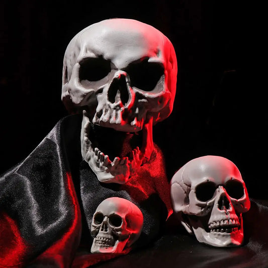 All Size Plastic Human Skull Head Skeleton – Halloween Style Photo Prop & Party Decor