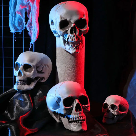 Plastic Skull Head – Realistic Skeleton Skull for Halloween Party & Haunted House Decor